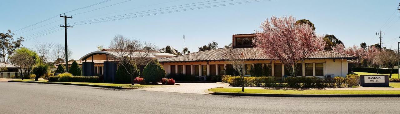 Banksia Motel Collie Esterno foto