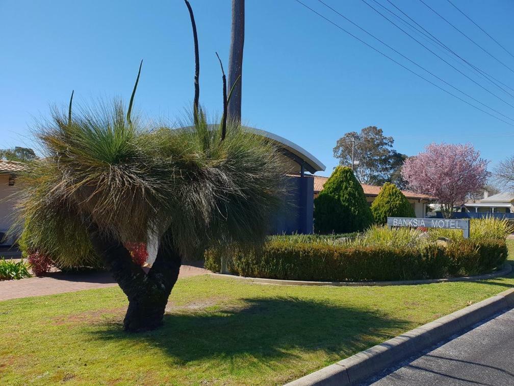 Banksia Motel Collie Esterno foto